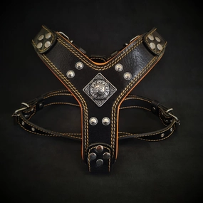The ''Eros'' harness Black & Orange Small to Medium Size