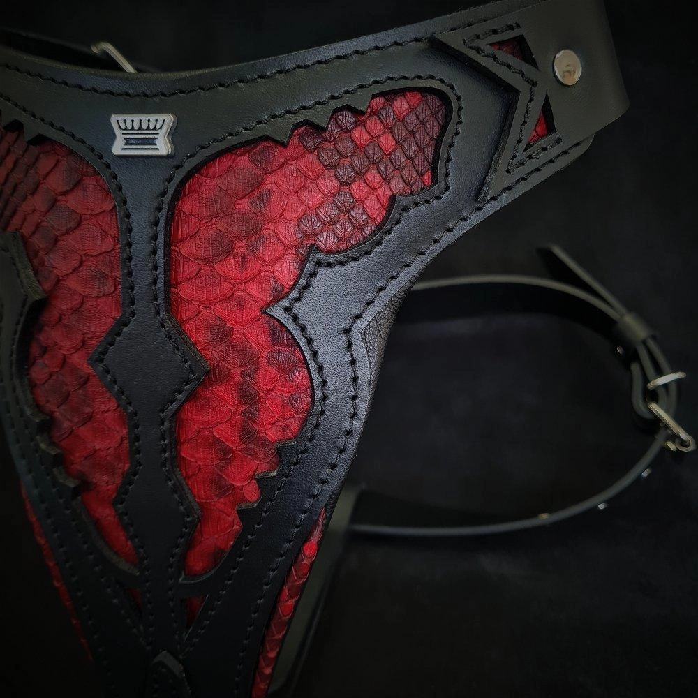The ''Red Dragon'' harness