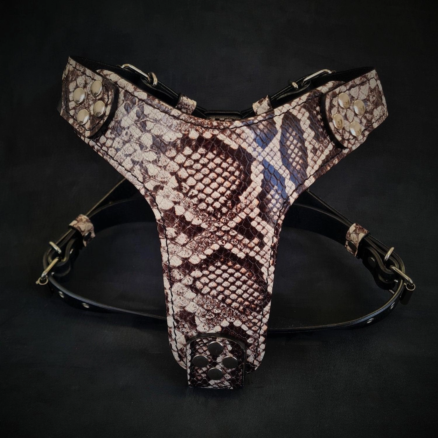 The ''Rock Python'' harness Small to Medium Size