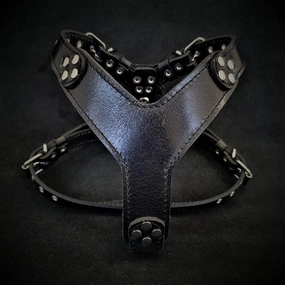 The ''Style'' harness Black Small to Medium Size
