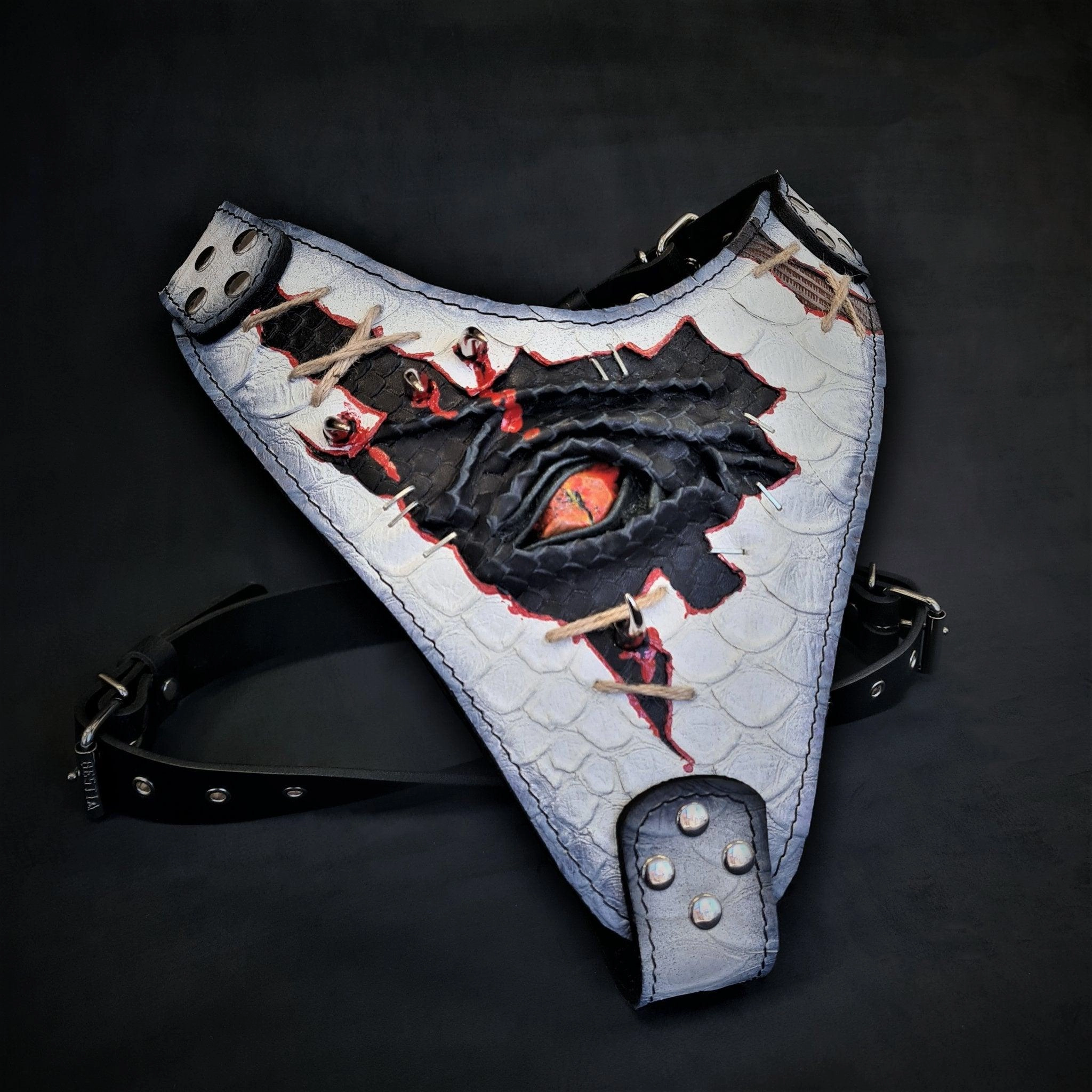 The ??Dragon's Eye?? Harness LIMITED!