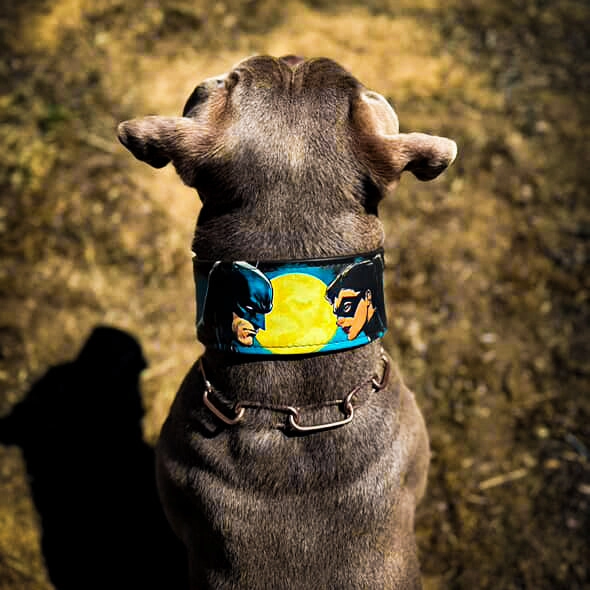 The BCW Limited Collar
