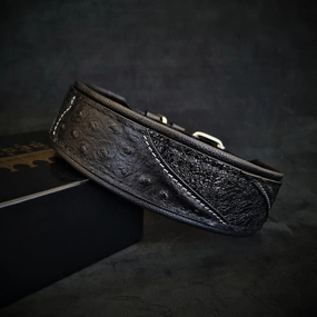 The "Korona" collar BLACK EDITION