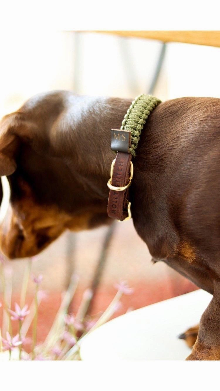 Touch of Leather Dog Collar - Military