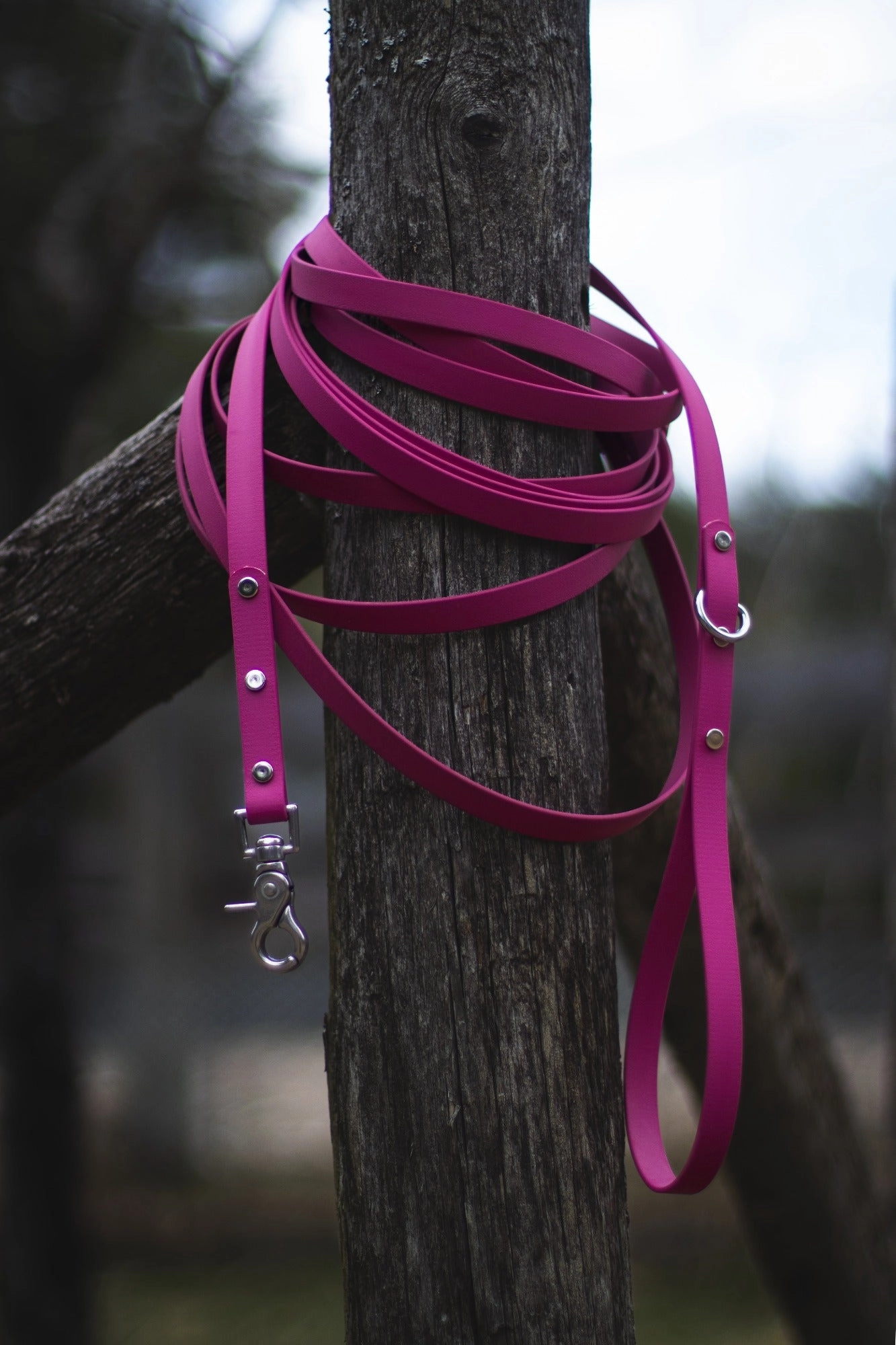 Waterproof BioThane Long Lead | Stainless Steel Hardware