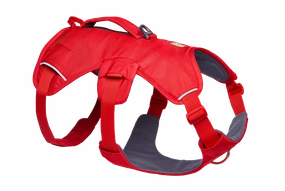 Web Master Dog Harness with Handle from Ruffwear