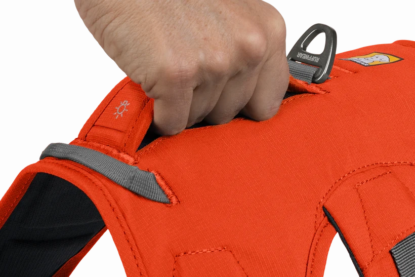 Web Master Dog Harness with Handle from Ruffwear