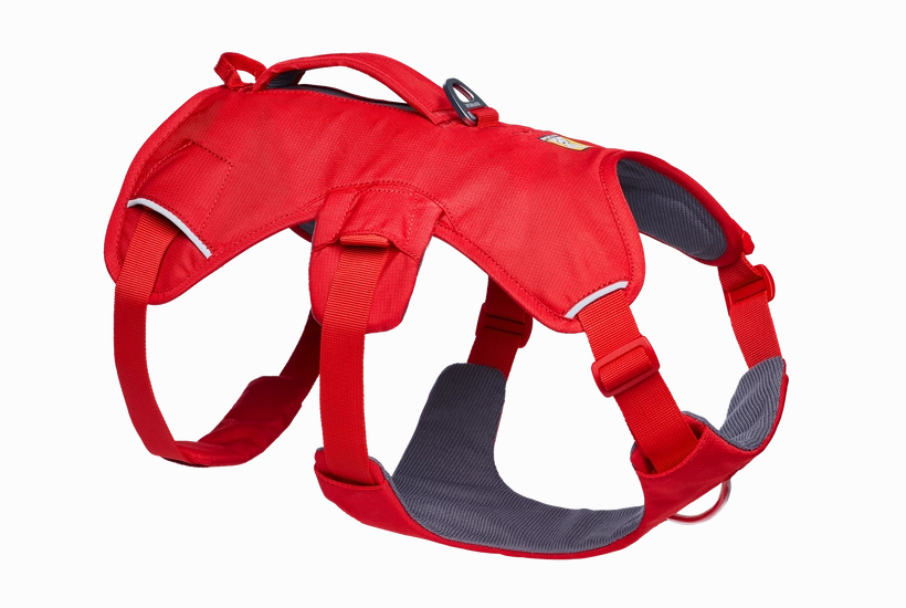 Web Master Dog Harness with Handle from Ruffwear