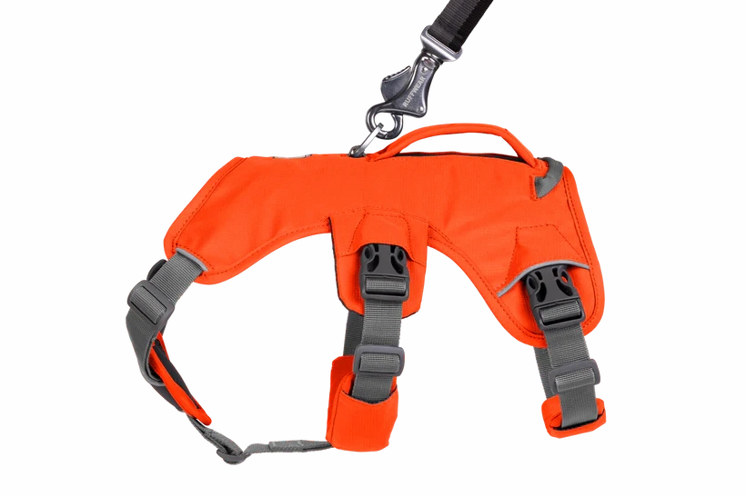 Web Master Dog Harness with Handle from Ruffwear