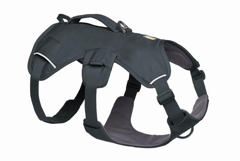 Web Master Dog Harness with Handle from Ruffwear
