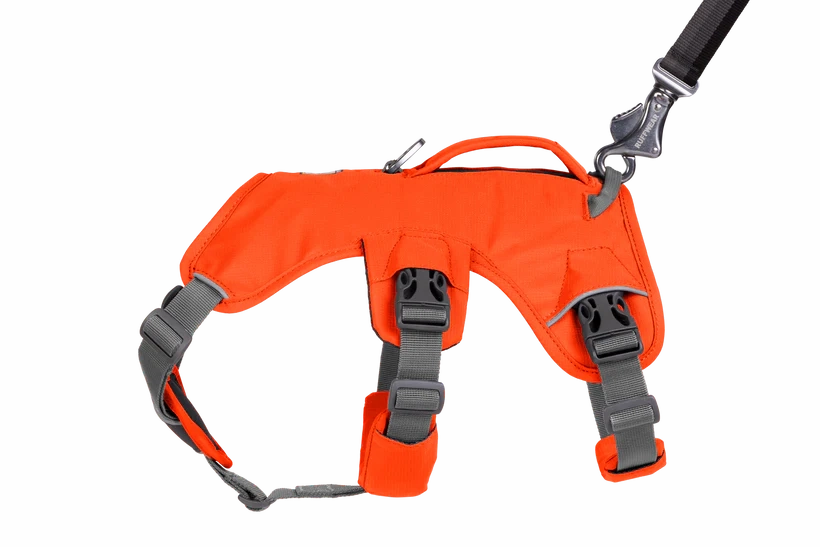 Web Master Dog Harness with Handle from Ruffwear