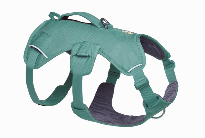 Web Master Dog Harness with Handle from Ruffwear